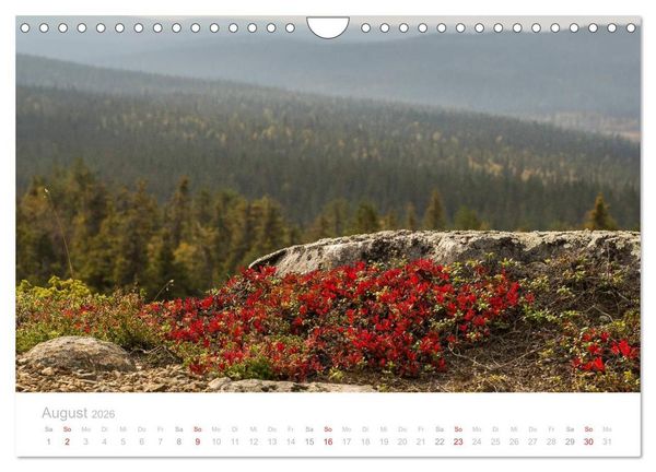 Produktbild: Heimat der Samen (Wandkalender 2026 DIN A4 quer), CALVENDO Monatskalender