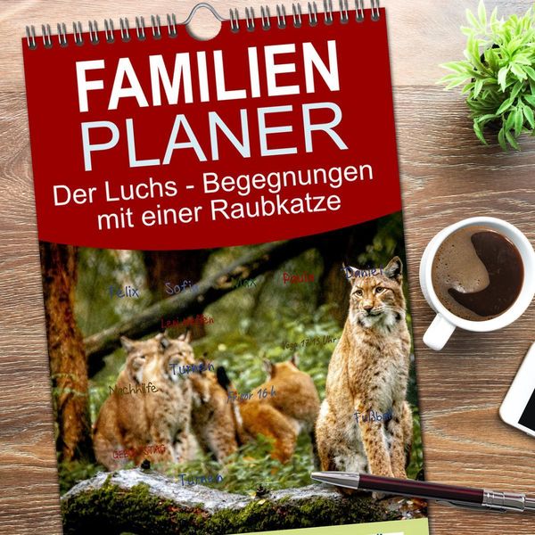 Produktbild: Familienplaner 2026 - Der Luchs - Begegnungen mit einer Raubkatze mit 5 Spalten (Wandkalender, 21 x 45 cm) CALVENDO