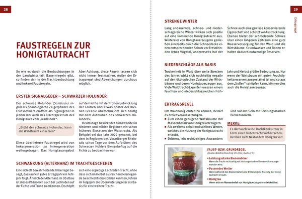 Produktbild: Waldtracht von Fichte und Tanne