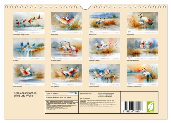Produktbild: Kraniche zwischen Wind und Weite (Wandkalender 2027 DIN A4 quer), CALVENDO Monatskalender