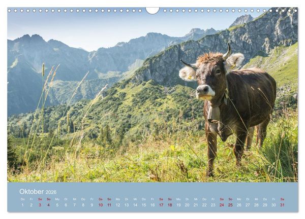 Produktbild: Heimweh Allg&auml;u 2026 (Wandkalender 2026 DIN A3 quer), CALVENDO Monatskalender