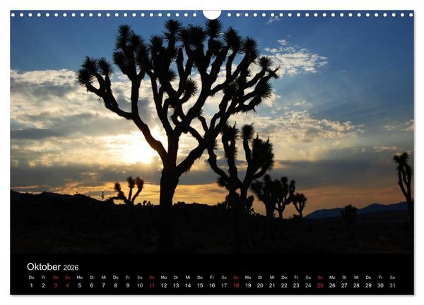 Produktbild: USA Landscapes (Wandkalender 2026 DIN A3 quer), CALVENDO Monatskalender