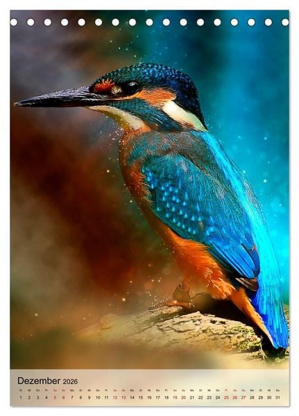 Produktbild: Schillernder Eisvogel (Tischkalender 2026 DIN A5 hoch), CALVENDO Monatskalender