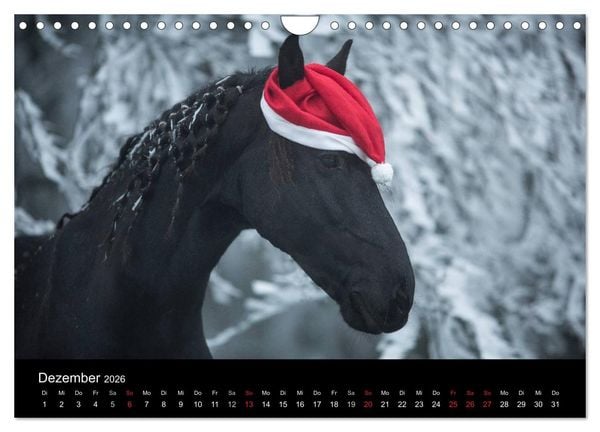 Produktbild: Friesen - Sch&ouml;nheit, Kraft und Eleganz (Wandkalender 2026 DIN A4 quer), CALVENDO Monatskalender