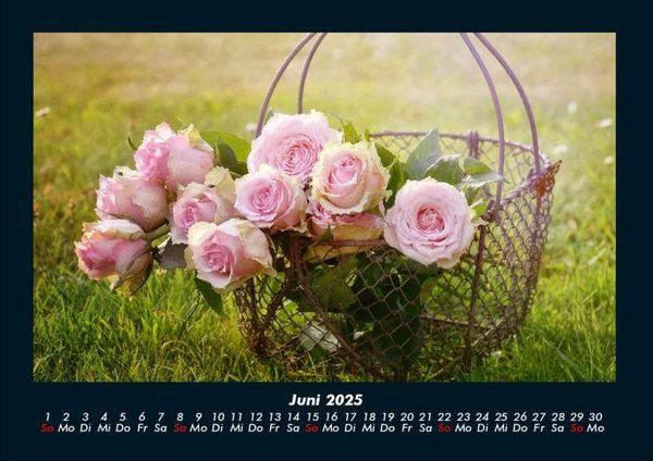 Produktbild: Rosentraum 2025 Fotokalender DIN A4
