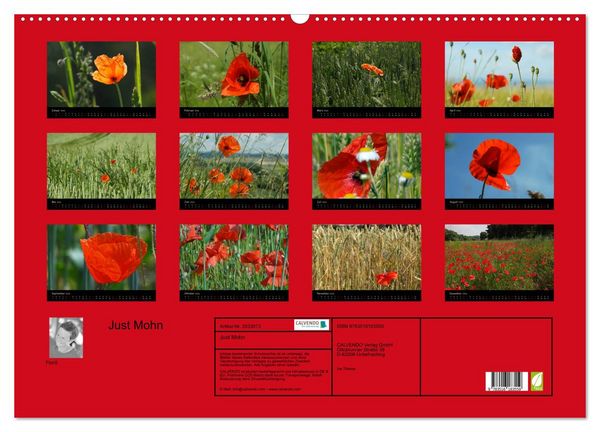 Produktbild: Just Mohn (Wandkalender 2026 DIN A2 quer), CALVENDO Monatskalender