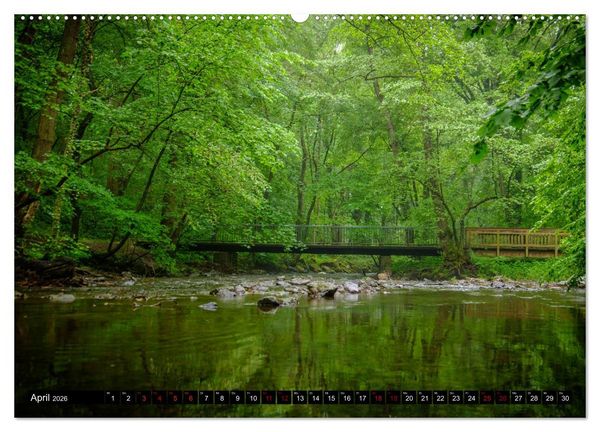 Produktbild: Wege des einfachen Gl&uuml;cks - Spazierg&auml;nge im Wald (hochwertiger Premium Wandkalender 2026 DIN A2 quer), Kunstdruck in Hochglanz
