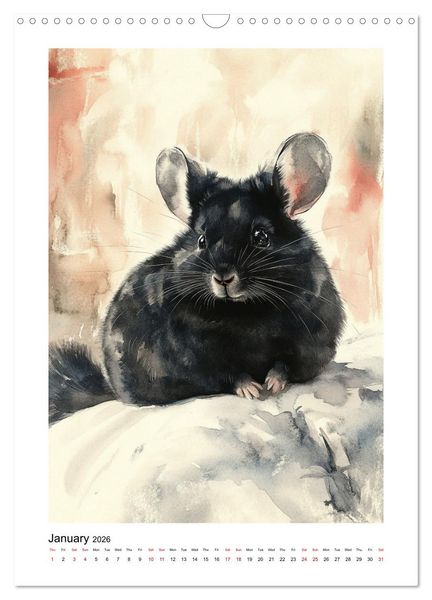 Produktbild: Chinchilla Parade (Wall Calendar 2026 DIN A3 portrait), CALVENDO 12 Month Wall Calendar