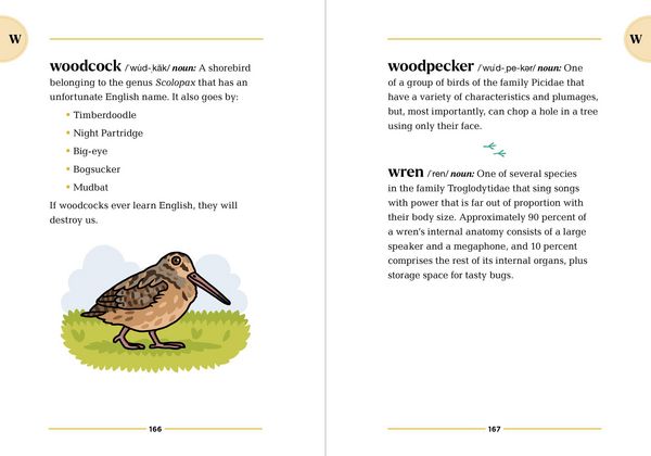 Produktbild: The Birding Dictionary