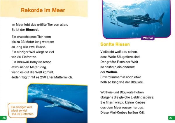 Produktbild: WAS IST WAS Erstes Lesen easy! Band 19. Tierische Rekorde