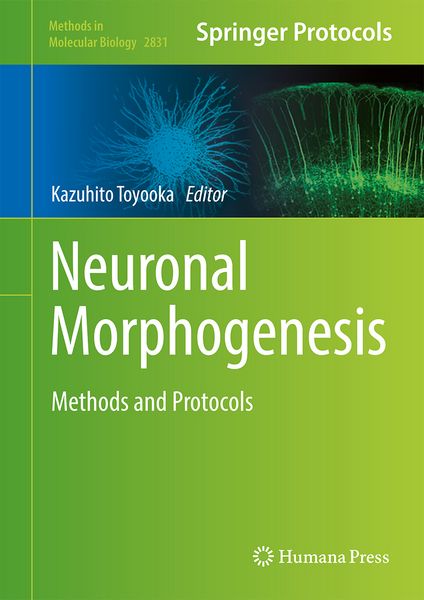 Produktbild: Neuronal Morphogenesis