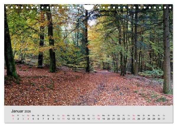Produktbild: Saarland - unbekannte Sch&ouml;nheit (Wandkalender 2026 DIN A4 quer), CALVENDO Monatskalender