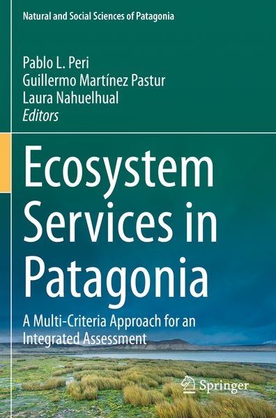 Produktbild: Ecosystem Services in Patagonia