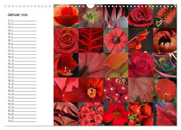 Produktbild: Farbenkaleidoskop (Wandkalender 2026 DIN A3 quer), CALVENDO Monatskalender