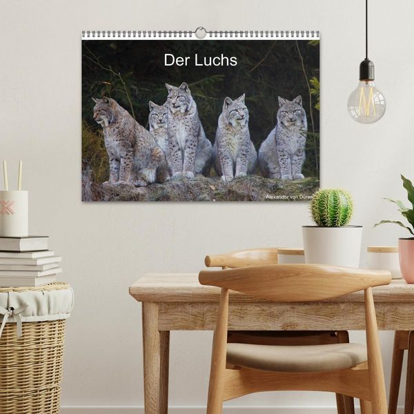 Produktbild: Der Luchs (Wandkalender 2026 DIN A3 quer), CALVENDO Monatskalender