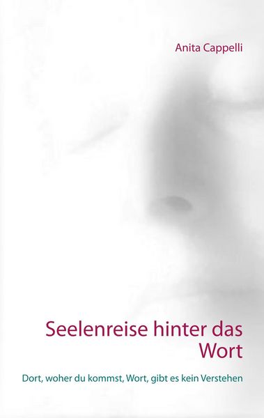 Produktbild: Seelenreise hinter das Wort