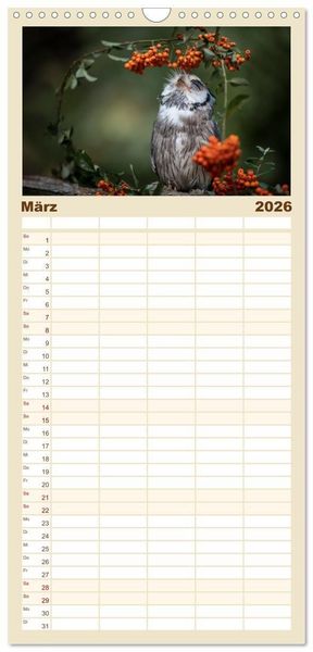 Produktbild: Familienplaner 2026 - Eulen - sch&ouml;n und geheimnisvoll mit 5 Spalten (Wandkalender, 21 x 45 cm) CALVENDO