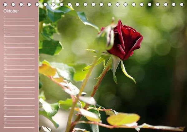 Produktbild: Zarte Sch&ouml;nheiten - Rosen (Tischkalender immerw&auml;hrend DIN A5 quer)