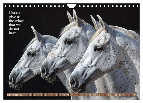 Produktbild: A Horse Makes You Complete (Wall Calendar 2026 DIN A4 landscape), CALVENDO 12 Month Wall Calendar