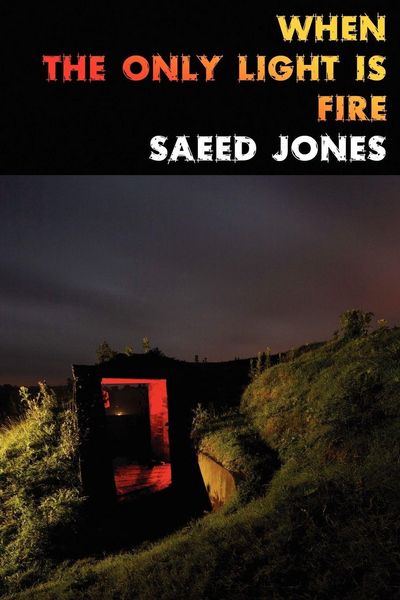 Produktbild: When the Only Light Is Fire