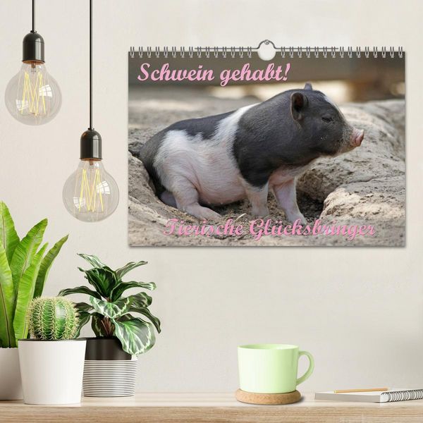 Produktbild: Schwein gehabt! (Wandkalender 2026 DIN A4 quer), CALVENDO Monatskalender