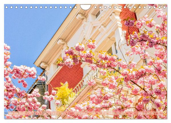Produktbild: Nordrhein-Westfalen - Ein malerischer Spaziergang (Wandkalender 2026 DIN A4 quer), CALVENDO Monatskalender