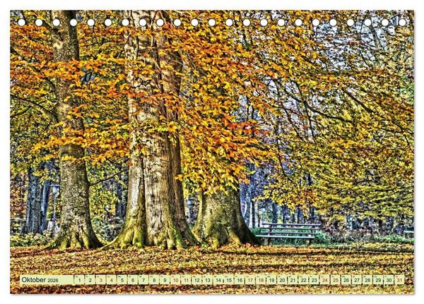 Produktbild: Verwunschene Waldtr&auml;ume: Ein Kalender voller Magie (Tischkalender 2026 DIN A5 quer), CALVENDO Monatskalender
