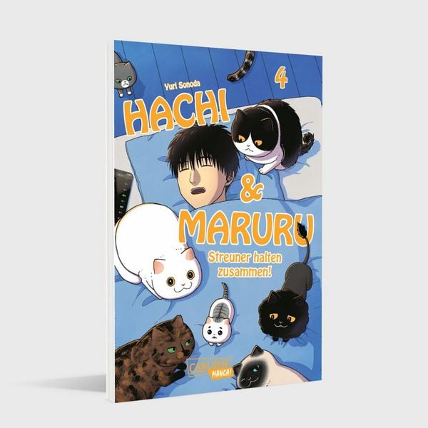 Produktbild: Hachi & Maruru &ndash; Streuner halten zusammen! 4