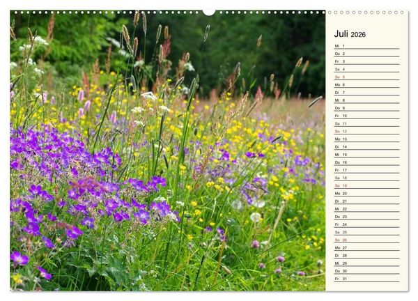 Produktbild: Der Harz - Sagenumwoben und Wildromantisch (hochwertiger Premium Wandkalender 2026 DIN A2 quer), Kunstdruck in Hochglanz