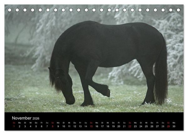 Produktbild: Friesen - Sch&ouml;nheit, Kraft und Eleganz (Tischkalender 2026 DIN A5 quer), CALVENDO Monatskalender