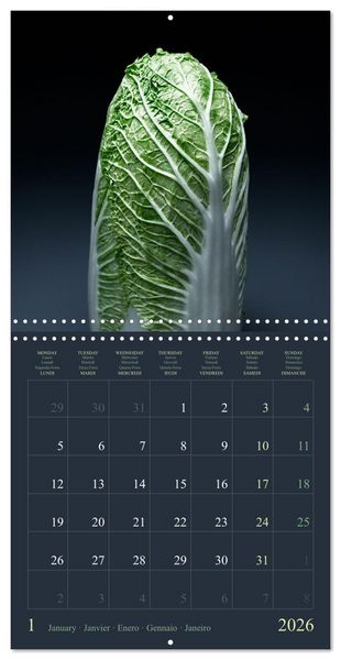 Produktbild: Les l&eacute;gumes hauts en couleur (Calendrier mural carr&eacute; 2026 30x30 cm) Calendrier double avec une page pour vos prises de notes