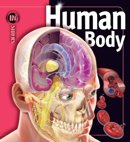 Produktbild: Human Body