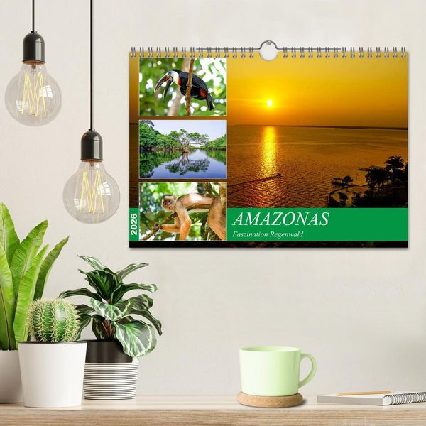 Produktbild: Amazonas - Faszination Regenwald (Wandkalender 2026 DIN A4 quer), CALVENDO Monatskalender