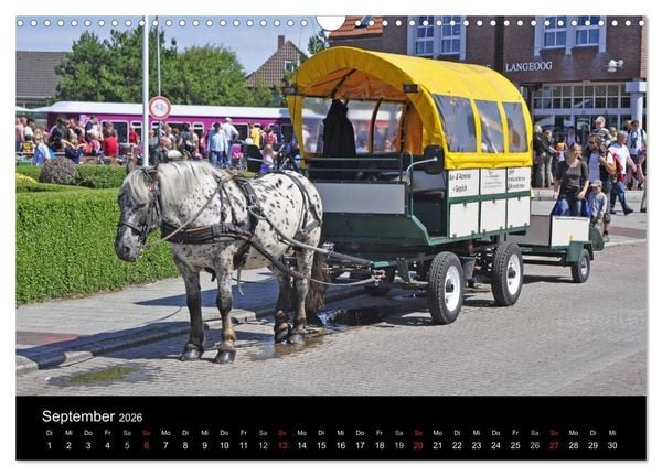 Produktbild: Ostfriesische Inseln (Wandkalender 2026 DIN A3 quer), CALVENDO Monatskalender