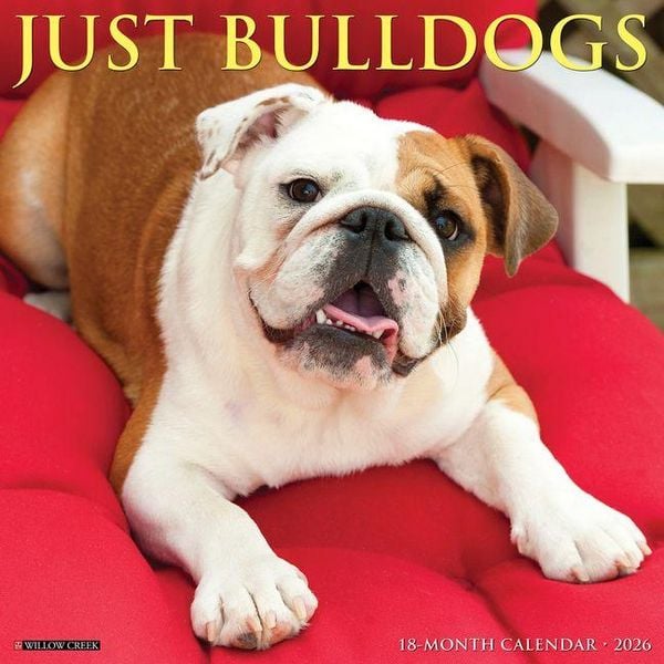 Produktbild: Bulldogs 2026 Wall Calendar