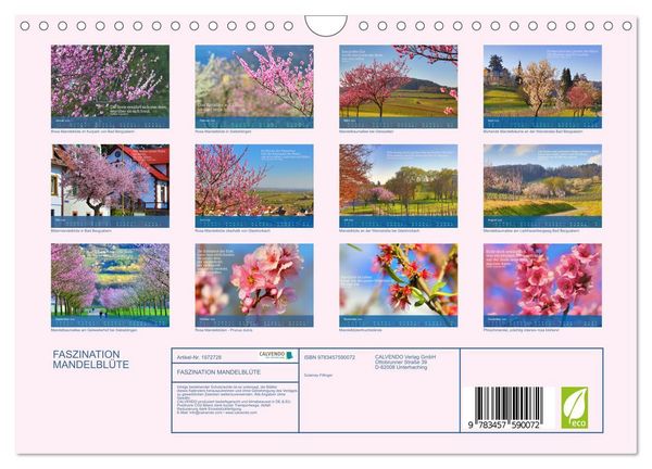 Produktbild: FASZINATION MANDELBL&Uuml;TE (Wandkalender 2026 DIN A4 quer), CALVENDO Monatskalender