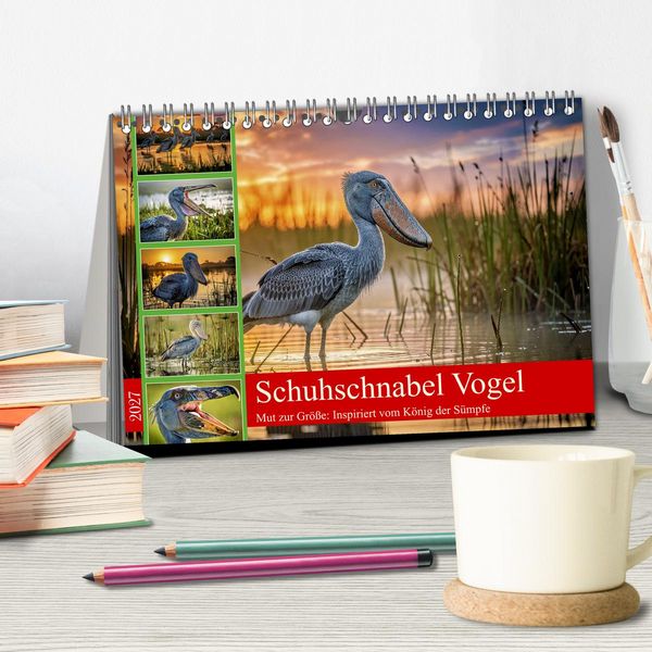 Produktbild: Schuhschnabel Vogel (Tischkalender 2027 DIN A5 quer), CALVENDO Monatskalender