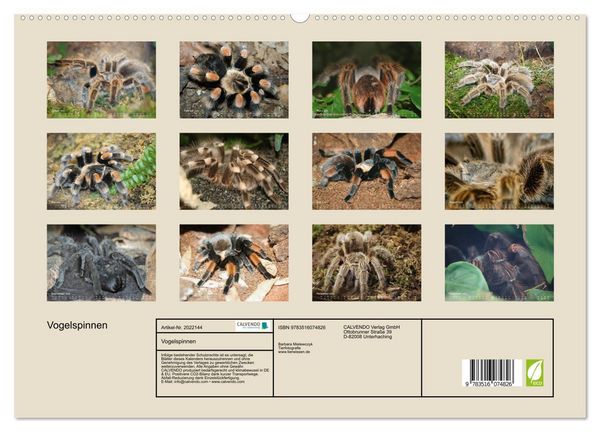 Produktbild: Vogelspinnen (hochwertiger Premium Wandkalender 2026 DIN A2 quer), Kunstdruck in Hochglanz