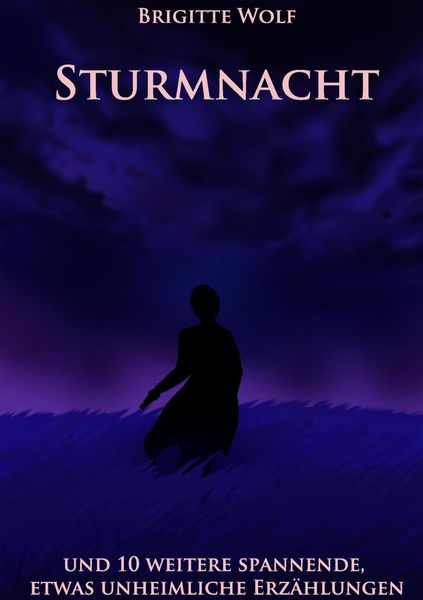 Produktbild: Sturmnacht