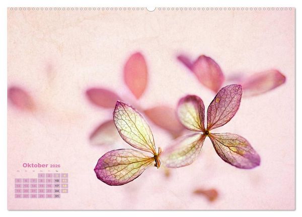 Produktbild: Zauberhafte Bl&uuml;ten (Wandkalender 2026 DIN A2 quer), CALVENDO Monatskalender