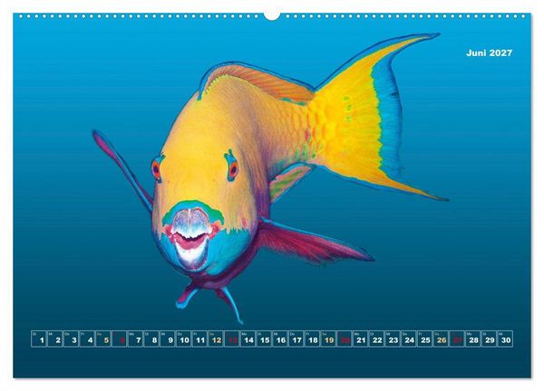 Produktbild: Unterwasser-Galerie (hochwertiger Premium Wandkalender 2027 DIN A2 quer), Kunstdruck in Hochglanz