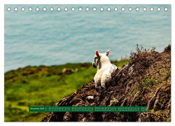 Produktbild: Wir sehen uns in Irland - Ring of Beara und Ring of Kerry (Tischkalender 2026 DIN A5 quer), CALVENDO Monatskalender