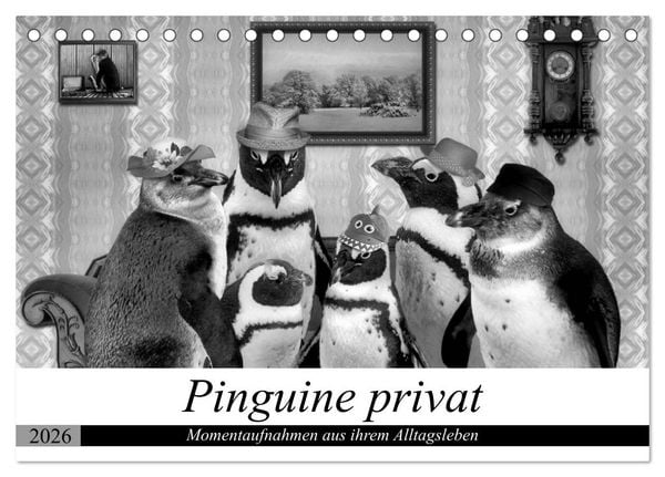 Produktbild: Pinguine privat (Tischkalender 2026 DIN A5 quer), CALVENDO Monatskalender