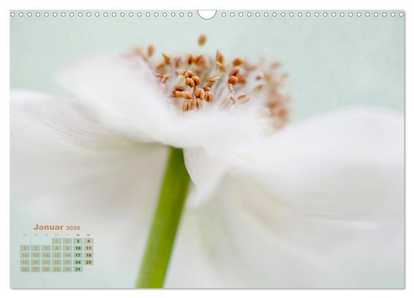 Produktbild: Zauberhafte Bl&uuml;ten (Wandkalender 2026 DIN A3 quer), CALVENDO Monatskalender