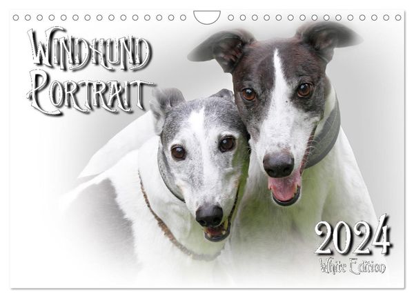 Windhund Portrait 2024 White Edition (Wandkalender 2024 DIN A4 quer), CALVENDO Monatskalender