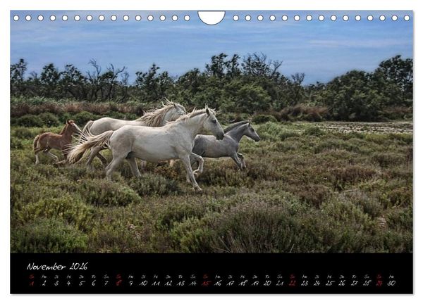 Produktbild: Provence romantique (Wandkalender 2026 DIN A4 quer), CALVENDO Monatskalender
