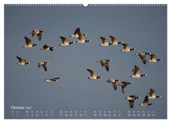 Produktbild: Anblicke und Ausblicke auf Fischland Dar&szlig; (hochwertiger Premium Wandkalender 2027 DIN A2 quer), Kunstdruck in Hochglanz