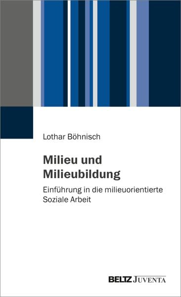Produktbild: Milieu und Milieubildung