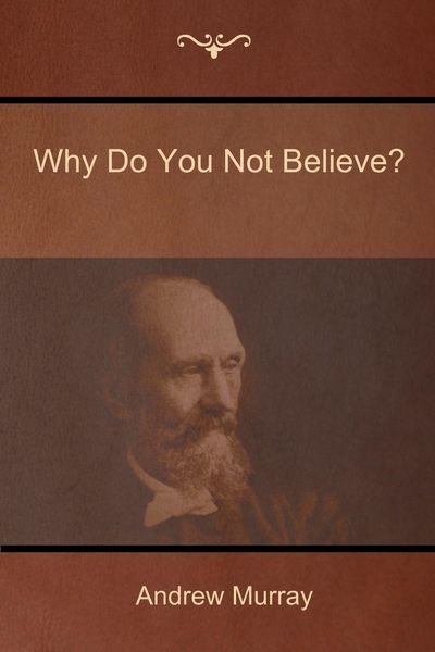Produktbild: Why Do You Not Believe?