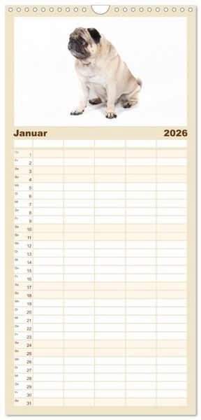 Produktbild: Familienplaner 2026 - Mops - unwiderstehlich und charmant mit 5 Spalten (Wandkalender, 21 x 45 cm) CALVENDO